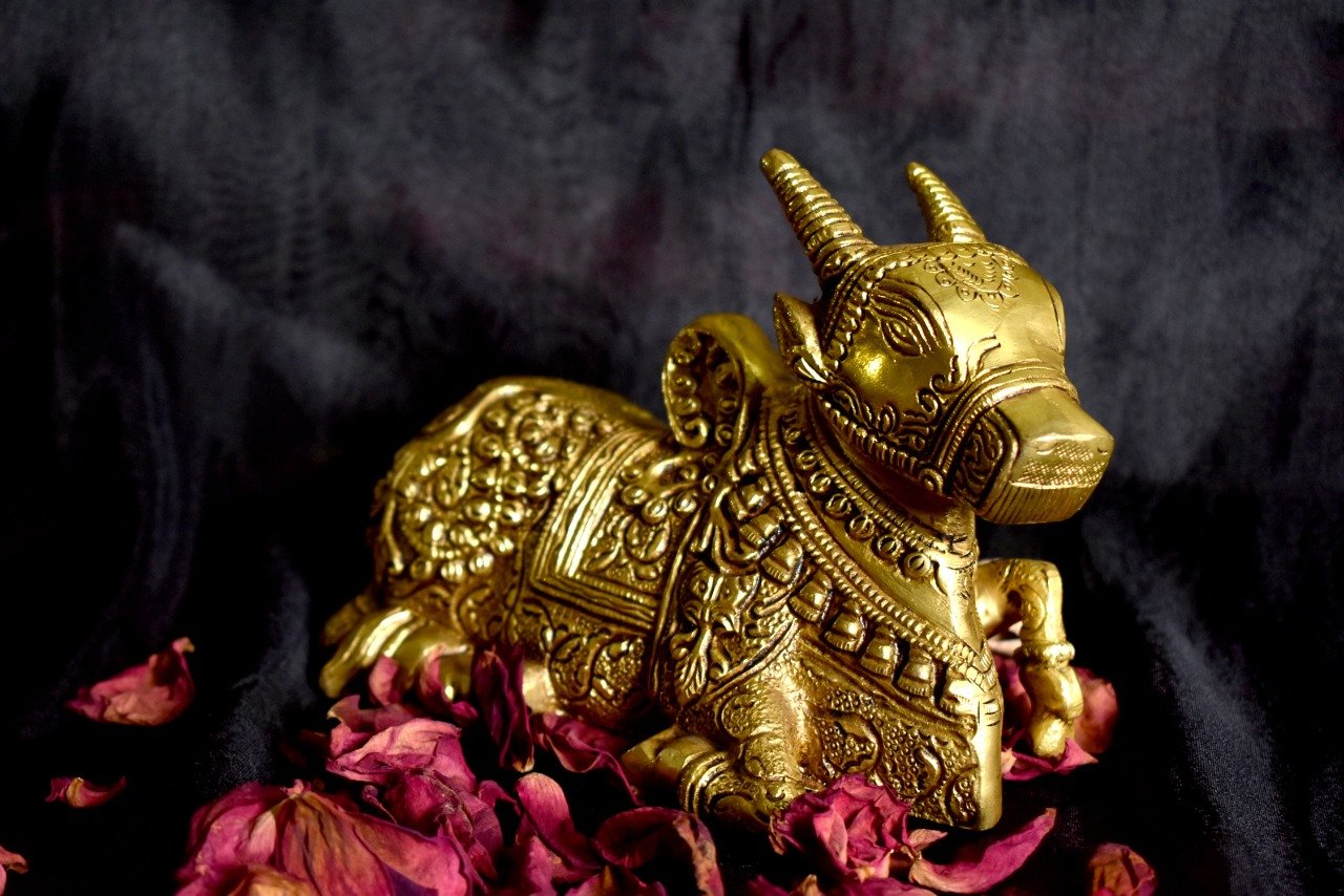 Anniversary Gifts, Brass, Corporate Gifts, diwali, festive, gift, god, House 2 home, house to home, House warming, gifts, House2home, idol, idols, murti, peetal, pital, pratima, statue, Wedding, Wedding Gifts, pooja, pooja gift, pooja article, home décor, Brass Decorative, Decorative Accents, décor, Golden, h2h, Home Decor, Antique, Unique Gift,, Brass Nandi, Cow, Pooja Article, Decorative, Gift, Diwali Gift, Carved Figuring, House2home, h2h