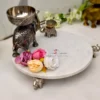 Round Marble Platter with Elephant Stand - 12 inches 14 Metal Elephant, Carved Elephant, Dry Fruit Pack, Dry Fruit Gifting, Decorative Elephant, Elephant, Dry Fruit Pack, Gift Pack, Silver Antique, White Metal, Gold, Gift, Hamper, Diwali, Wedding, Return Gift, Haathi, Golden Elephant, Carved Elephant, Dry Fruit Bowl Manufacturer, Decorative Candle Holder with wax, Diwali Gift, Center Table Decorative, Metal Decorative, Handicraft Manufacturer, Moradabad Metal, Home Decor, h2h, Hamper Decoration, Hamper Filler, Return Gift, Hamper Elephant, Metal Decorative Wholeseller, Moradabad Gifts Manufacturer, house2home, h2h, Moradabad Wholeseller, Silver Elephant, German Silver, Gold Elephant, Anniversary Gifts, Artistic Diwali gifting ideas, Best Handicraft manufacture, Best Handicraft manufacturer, Best Metal Collection, Best metal handicrafts Manufacturer Moradabad, Best Quality Gifts Manufacturer, Chocolate packaging, Christmas Gifting, Creative Packaging, cup cake stand, Custom Metal cake stand, Custom metal gifts Moradabad, Customized Diwali crafts, cute hamper, decor, decorative, Decorative Elephant, Diwali Gift, diwali hamper, Dry Fruit Bowl, Dry Fruit Packaging, Elephant, Elephant candle holder, Elephant With Bowl, German Silver Gifts, gifting ideas, Gold Elephant, Golden, h2h, Hamper Basket, Hamper Decor, Hamper Decorative Elephant, Hamper Tray Decoration, handicraft Manufacturer, home decor, House 2 home, House2home, Housewarming Gift, Jar Tray, Kitty Party Gift, Lohri Hamper, mehandi gift, Metal artware Moradabad, Metal Elephant Manufacturer, Metal Gift, Metal gift manufacturers in Moradabad, Metal Gifts Manufacturer, Metal Glass Tray, Metal Handicraft, Metal Handicrafts, Metal handicrafts Wholeseller, Metal Manufacturer, Metal Stand with Metal Plate, Metalware manufacturers in India, Modern Candle Holder, Modern Glass Tray, modern hamper, Moradabad, Moradabad brassware gifts, Moradabad Handicrafts, Moradabad handicrafts exporters, Moradabad Manufacturing unit, Moradabad Metal, Moradabad Metal Crafts, Moradabad metal gift shops, Moradabad metal gifts, Moradabad Metal Home Decor, Moradabad Metal Industry, Moradabad metal souvenirs, Moradabad metalware exports, Moradabad metalware industry, Moradabad Metalware Suppliers, Moradabad metalwork artisans, Multi-tier fruit server, packaging ideas, Packing, Return Gift, seasonal gifting, Silver Elephant, t-light candle holder, trousseau packing, Wax Candle Holder, Wedding Gift, Artistic Diwali gift ideas, Best Handicraft manufacture, Best Handicraft manufacturer, Best marble Collection, marble with elephant base, marble handicrafts manufacturer, Best Quality Gifts, cake dome stand, Cake Stand, Cake Stand Manufacturer, Cake Stand With Elephant stands, center table decor, Chocolate Packaging Trays, Chocolate platter, Christmas Gifting, Creative Packaging, Cup cake stand, Custom marble platter with elephant stand, gifts manufacturer Moradabad, Custom Elephant base with marble stand, Customized Diwali crafts, cute hamper, decor, decorative, Decorative Cake Platter, decorative hamper, Decorative marble items Moradabad, decorative packing, Dining table Platter, Direct Manufacturer in Moradabad, Diwali Decorations, Diwali DIY gifts, Diwali Gift, diwali hamper, Diwali Return Gift, dry fruit pack, Dry Fruit Platter, Dry Fruit Stand, dry fruit tray, elegant marble platter, Elegant elephant Platter, Elephant Hamper Tray, Elephant Marble Platter, Elephant Tray Manufacturer, Favors, Elephant Fruit Platter, Fruit Stand, Elephant Gift Tray, Gifts for Distribution, Marble Tray with elephant stand for distribution, gift packing platter, gifting tray, Elephant trays for Gifting, Gifts Manufacturer, h2h, H2H (House 2 Home), Hamper Basket, Marble Hamper, Hamper Packing, Hamper Wholesaler, Handcrafted Gifts, handicraft, Handicrafts Manufacturer, Handmade Diwali gifts, festive decorations and gifting, handmade gift, marble plate with elephant stand, Holiday Gift Hamper, Holiday Hamper, home decor, Home Decorative, House 2 home, house warming, House warming gifts, House2home, Househome, Housewarming Gift, Jar Tray, Kitty Party Gift, Lohri Hamper, mehndi gift, art ware Moradabad, elephant platter gift manufacturers in Moradabad, elephant platter Gifts Manufacturer, elephant platter Tray, elephant platter, elephant Marble Round Tray, elephant platter Manufacturer, marble top with elephant platter, marble plate with elephant stand manufacturers in India, Modern marble Tray, modern elephant hamper, Moradabad, Moradabad brassware gifts, Moradabad handicrafts exporters, Moradabad Manufacturing unit, marble plate with elephant stand, Moradabad elephant platter Crafts, Moradabad elephant platter gift shops, Moradabad gifts, elephant platter for Home Decor, elephant souvenirs, Moradabad marble exporter, Moradabad elephant stand Suppliers, Moradabad marble artisans, Natural marble platter, Creative packaging ideas, Packing, Panos, Personalized Diwali gifts, Platter, Rakhi Hamper, Return Favor Gift, Return Gift, Round Glass Cover, Round Tray Cover, Round Tray with Glass Lid, Round elephant platterPlatter, Seasonal Gift, seasonal gifting, Serving Platter, Snack Serving Stand, marble cake stand, table Decor, Tiered fruit organizer, Tiered fruit storage, Traditional handmade Diwali goods. Moradabad, Traditional elephant Platter, Tray Manufacturer, Trays & Platters, trousseau packing, truso packing, Unique handmade Diwali items, Unique Platter, Wedding Favor, Wedding Gift, Wedding Hamper, Wedding Pack, Marble cake pedestal, elephant platter cake tray, elephant platter cake holder, elephant platter cake server, elephant Chowki, marble cupcake stand, desert platter, Marble elephant platter, platter Manufacturer, marble Gifts Whole seller, elephant Hamper, elephant Handicraft, elephant Manufacturer, Plates Manufacturer, elephant Round Platter, marble cake stand, elephant tray, elephant platter & Trays Manufacturer, Marble chowki, Elephant base chowki, Serving platter, Decorative hamper, Gift tray, Home decor, Return gift, Wedding gift, Marble elephant stand, Handcrafted chowki, Elephant-themed chowki, Traditional chowki, Ethnic decor, Indian handicraft, Festive decor, Ornamental tray, Table centerpiece, Elephant motif chowki, Rustic serving tray, Artisanal home accents, marble decor, Unique gift idea, Festive servingware, Cultural decor, Exotic home accents, Handmade marble tray, Intricate craftsmanship, Decorative tableware, Vintage-inspired decor, Artistic home furnishings, Elephant lover's gift, Exquisite marblework, Elegant home accessories, Souvenir gift, Stylish serveware, Rustic elegance, Cultural heritage decor, Fine marbleworking, Sophisticated home decor, Charming hostess gift, Elephant-themed serving tray, Marble elephant base platter, Elephant-inspired decor, Artistic chowki with elephants, Elephant figurine tray, Hand-painted elephant chowki, Elephant-shaped base tray, Rustic elephant decor, Decorative elephant stand, Elephant motif serving platter, Elephant carved marble tray, Unique elephant home accent, Elephant silhouette chowki, Intricately designed elephant tray, Elephant embellished serving tray, Elephant sculpture chowki, Elephant-patterned serving platter, Exotic elephant-themed chowki, Marble elephant centerpiece, Elephant-themed wedding gift, Elephant lover's decor piece, Marble Platter, Rectangle Marble Chowki, Elephant Platter, Elephant Marble Platter, Marble Hamper, Marble tray, Elephant Chowki, Home Decor, Diwali Gift, Wedding Hamper, Marble Hamper, Marble Platter Round White, Marble Chowki, Elephant Platter, Elephant Marble Platter, Marble Hamper, Marble tray, Elephant Chowki, Home Decor, Diwali Gift, Wedding Hamper, Marble Hamper