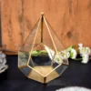 Brass Terrarium, Geometric Brass Terrarium, Conical Brass Terrarium, Hexagonal Brass Terrarium, Quadrilateral Terrarium, Polygonal Terrarium, Glass Terrarium, Brass Glass Terrarium, Decorative Brass Terrarium, Angular Brass Terrarium, Brass Frame Terrarium, Modern Terrarium Design, Designer Brass Terrarium, Luxury Brass Terrarium, Metal Terrarium, Indoor Brass Terrarium, Tabletop Terrarium, Hanging Brass Terrarium, Succulent Terrarium, Air Plant Terrarium, Cactus Planter Terrarium, Decorative Plant Holder, Brass Planter, Geometric Plant Holder, Stylish Glass Planter, Brass Candle Holder, Geometric Brass Candle Holder, Brass Tea Light Holder, Decorative Lantern, Glass Lantern, Brass Lantern, Candle Terrarium, Terrarium Candle Holder, Wedding Centerpiece Terrarium, Diwali Decor Terrarium, Event Decor Terrarium, Hotel Decor Terrarium, Home Decor Terrarium, Boho Terrarium, Rustic Brass Terrarium, Artistic Glass Terrarium, Premium Terrarium Gift, Housewarming Gift Terrarium, Festive Gifting Terrarium, Metal and Glass Terrarium, Minimalist Terrarium, Vintage Terrarium Design, Glass and Metal Planter, Geometric Candle Lantern, Indoor Garden Terrarium, Tabletop Candle Lantern, Centerpiece Glass Lantern, Decorative Polygon Terrarium, Conical Glass Terrarium, Hexagon Candle Lantern, Indoor Decor Planter, Botanical Display Terrarium, Gold Finish Terrarium, Handmade Brass Terrarium, Elegant Glass Terrarium, Giftable Terrarium Holder, Versatile Brass Decor, Luxury Wedding Gift, Trousseau Decor Piece, Floral Display Terrarium, Designer Candle Lantern, Diwali Gift Terrarium, German Silver Look Terrarium, Chic Home Accent Piece, Modern Boho Planter, Designer Table Accent, Glass Display for Succulents, Decor Accent Terrarium, Artistic Home Decor, Terrarium for Office Desk, Small Indoor Greenhouse, Ambient Lighting Decor, Brass Terrarium, Geometric Brass Terrarium, Conical Brass Terrarium, Hexagonal Brass Terrarium, Quadrilateral Terrarium, Polygonal Terrarium, Glass Terrarium, Brass Glass Terrarium, Decorative Brass Terrarium, Angular Brass Terrarium, Brass Frame Terrarium, Modern Terrarium Design, Designer Brass Terrarium, Luxury Brass Terrarium, Metal Terrarium, Indoor Brass Terrarium, Tabletop Terrarium, Hanging Brass Terrarium, Succulent Terrarium, Air Plant Terrarium, Cactus Planter Terrarium, Decorative Plant Holder, Brass Planter, Geometric Plant Holder, Stylish Glass Planter, Brass Candle Holder, Geometric Brass Candle Holder, Brass Tea Light Holder, Decorative Lantern, Glass Lantern, Brass Lantern, Candle Terrarium, Terrarium Candle Holder, Wedding Centerpiece Terrarium, Diwali Decor Terrarium, Event Decor Terrarium, Hotel Decor Terrarium, Home Decor Terrarium, Boho Terrarium, Rustic Brass Terrarium, Artistic Glass Terrarium, Premium Terrarium Gift, Housewarming Gift Terrarium, Festive Gifting Terrarium, Metal and Glass Terrarium, Minimalist Terrarium, Vintage Terrarium Design, Glass and Metal Planter, Geometric Candle Lantern, Indoor Garden Terrarium, Tabletop Candle Lantern, Centerpiece Glass Lantern, Decorative Polygon Terrarium, Conical Glass Terrarium, Hexagon Candle Lantern, Indoor Decor Planter, Botanical Display Terrarium, Gold Finish Terrarium, Handmade Brass Terrarium, Elegant Glass Terrarium, Giftable Terrarium Holder, Versatile Brass Decor, Luxury Wedding Gift, Trousseau Decor Piece, Floral Display Terrarium, Designer Candle Lantern, Diwali Gift Terrarium, German Silver Look Terrarium, Chic Home Accent Piece, Modern Boho Planter, Designer Table Accent, Glass Display for Succulents, Decor Accent Terrarium, Artistic Home Decor, Terrarium for Office Desk, Small Indoor Greenhouse, Ambient Lighting Decor